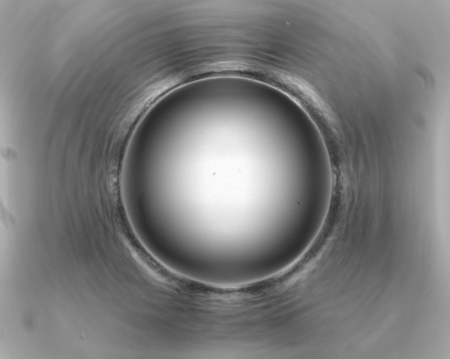 X0000090881225200708101339