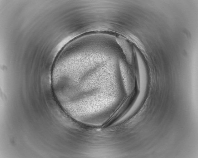 X0000090881226200708101339