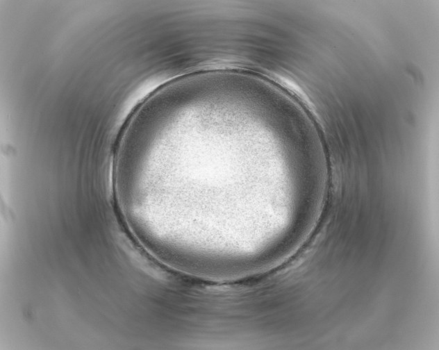 X0000090881227200708101339