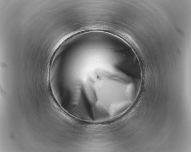 X0000090881228200708101339