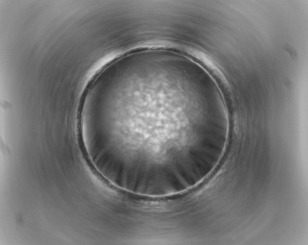 X0000090881229200708101339