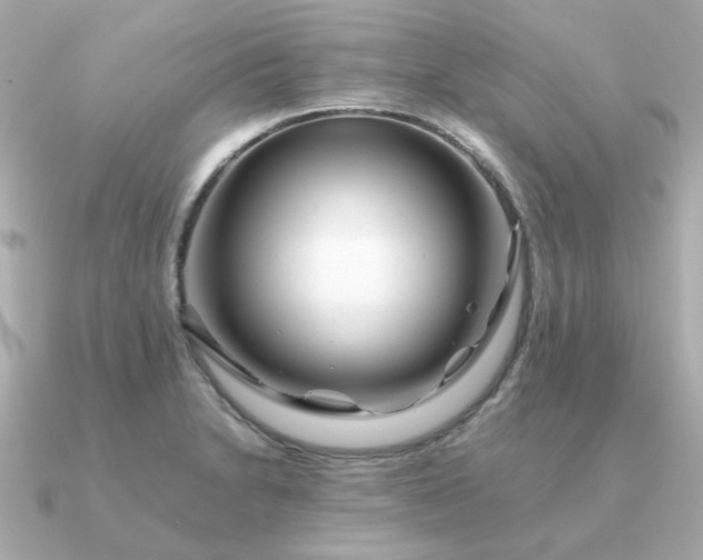 X0000090881230200708101339