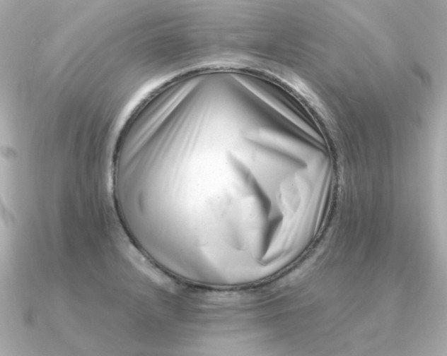 X0000090881232200708101339