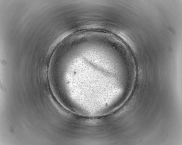 X0000090881233200708101339