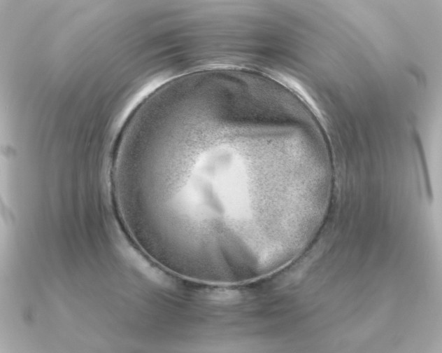 X0000090881235200708101339