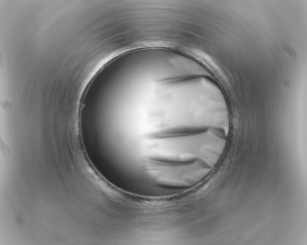 X0000090881236200708101339