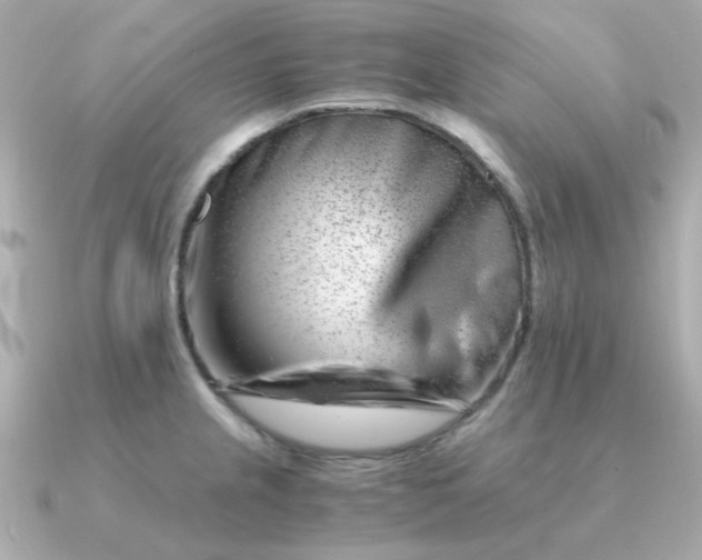 X0000090881237200708101339