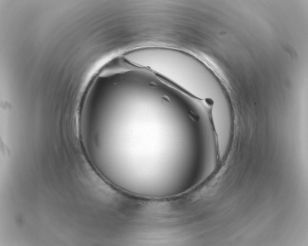 X0000090881238200708101339