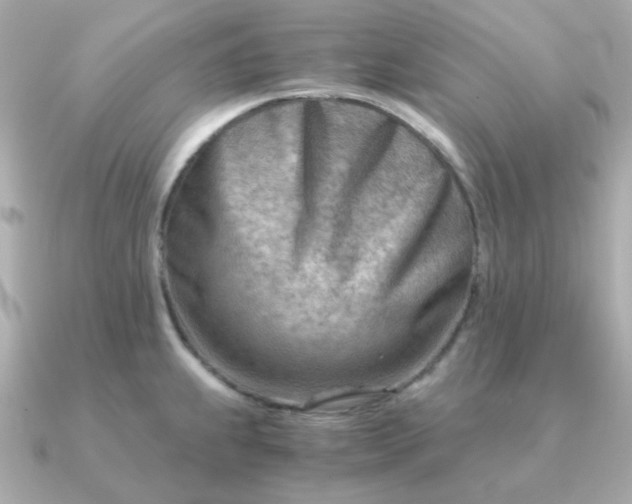 X0000090881239200708101339