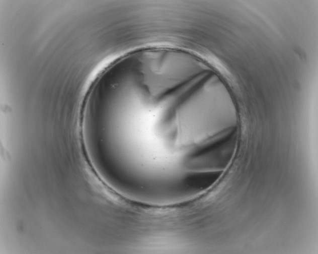 X0000090881240200708101339