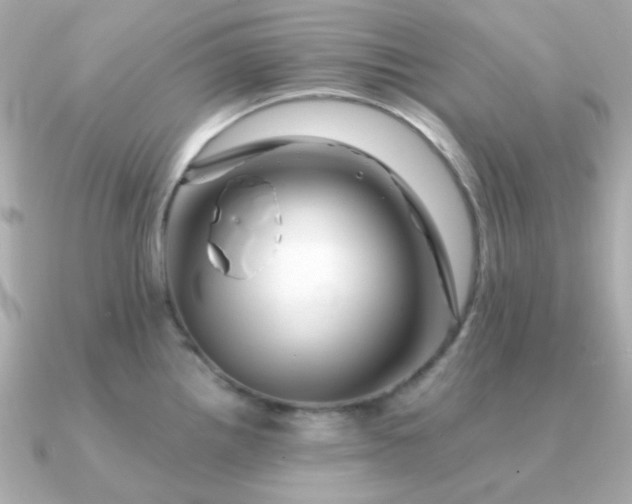 X0000090881242200708101339