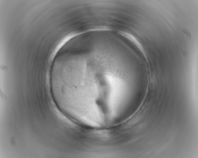 X0000090881243200708101339