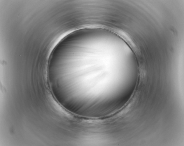 X0000090881244200708101339