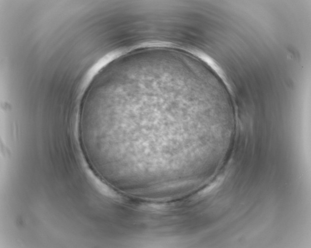 X0000090881245200708101339