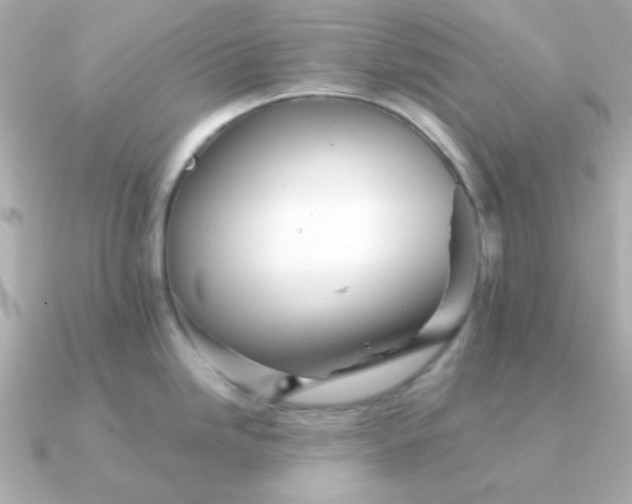 X0000090881246200708101339