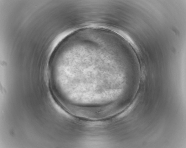 X0000090881247200708101339