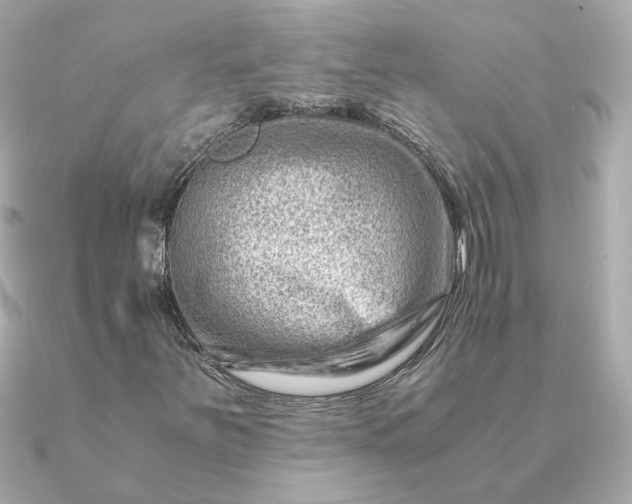 X0000090881251200708101338