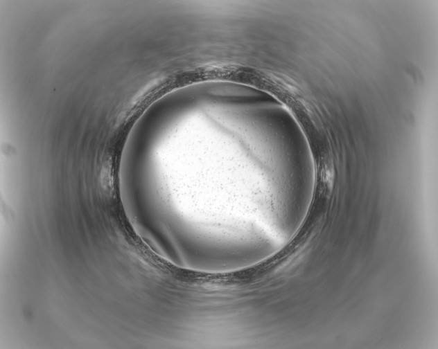 X0000090881252200708101338