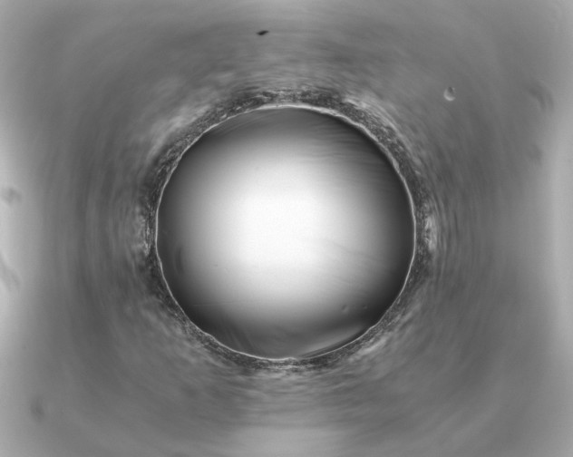 X0000090881253200708101338