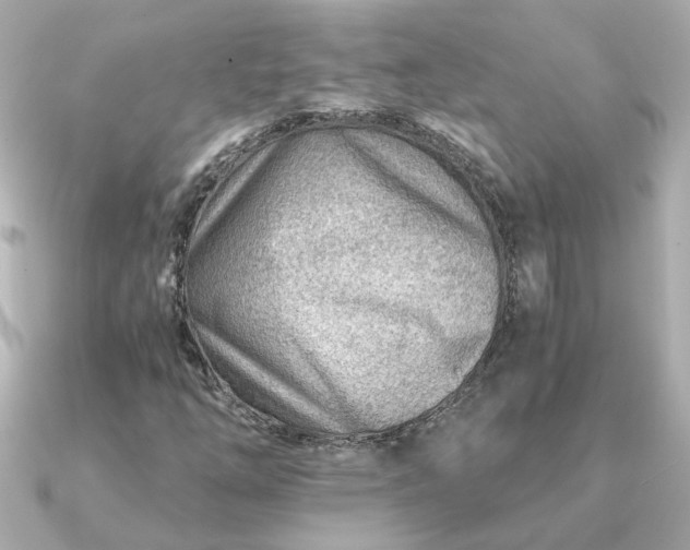 X0000090881254200708101338