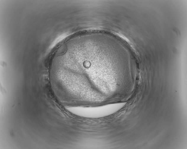 X0000090881255200708101338