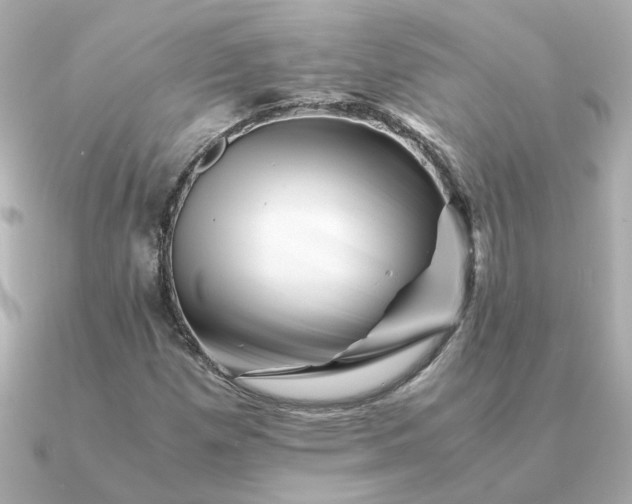 X0000090881257200708101338