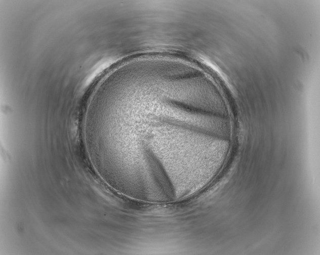 X0000090881259200708101338