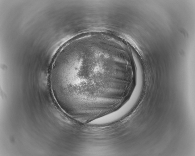 X0000090881260200708101338