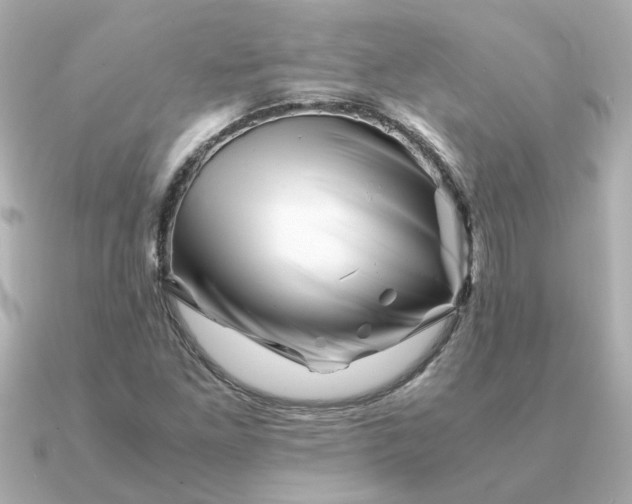 X0000090881261200708101338