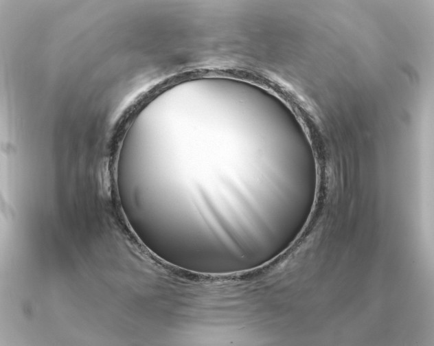 X0000090881262200708101338