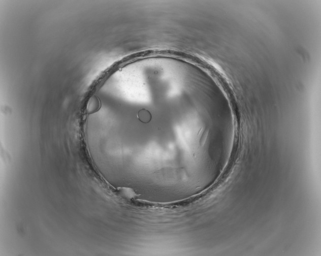 X0000090881263200708101338