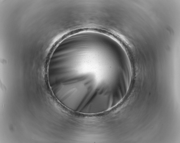 X0000090881264200708101338