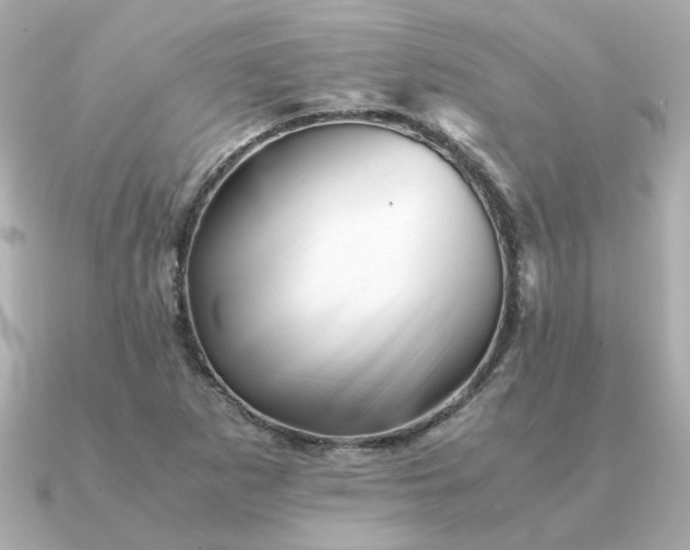 X0000090881265200708101338