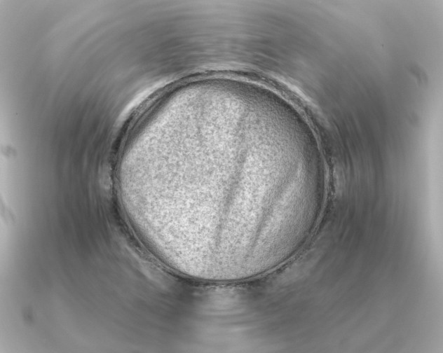 X0000090881266200708101338