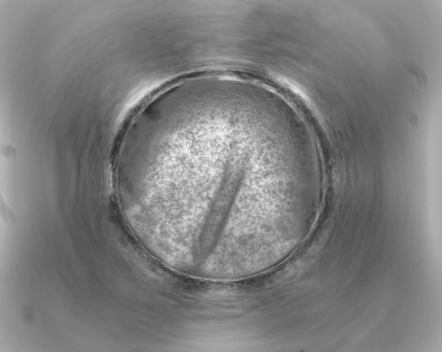 X0000090881267200708101338