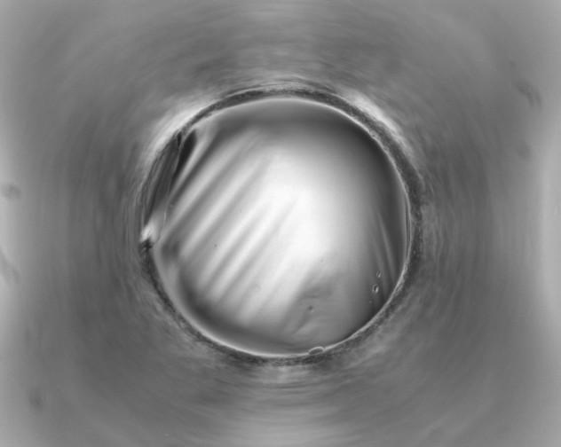 X0000090881269200708101338