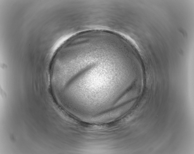 X0000090881271200708101338