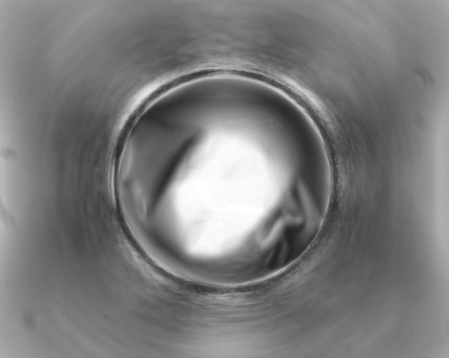 X0000090881272200708101338