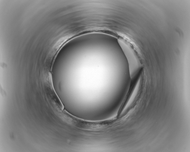 X0000090881273200708101338