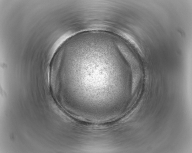 X0000090881275200708101338