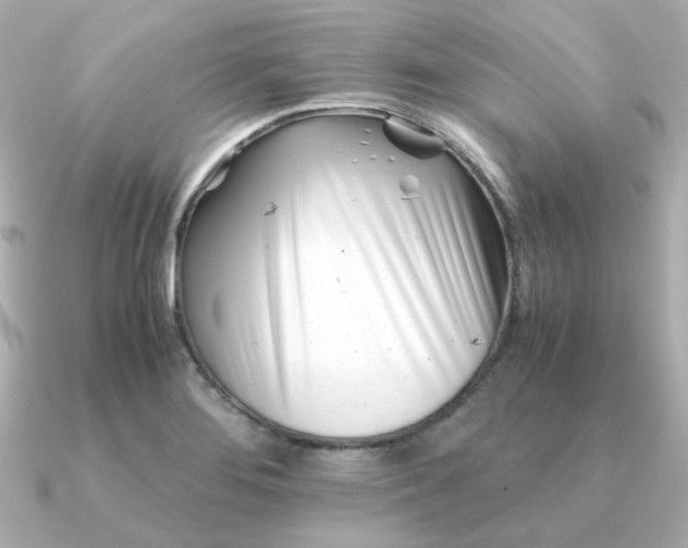 X0000090881276200708101338