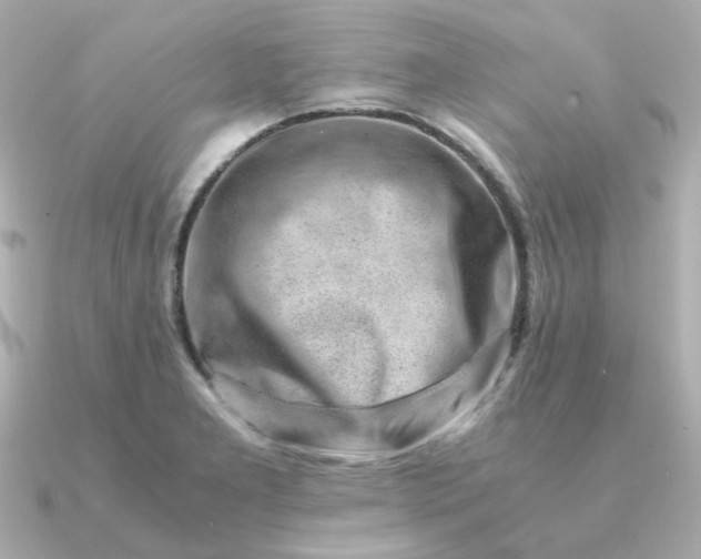 X0000090881277200708101338