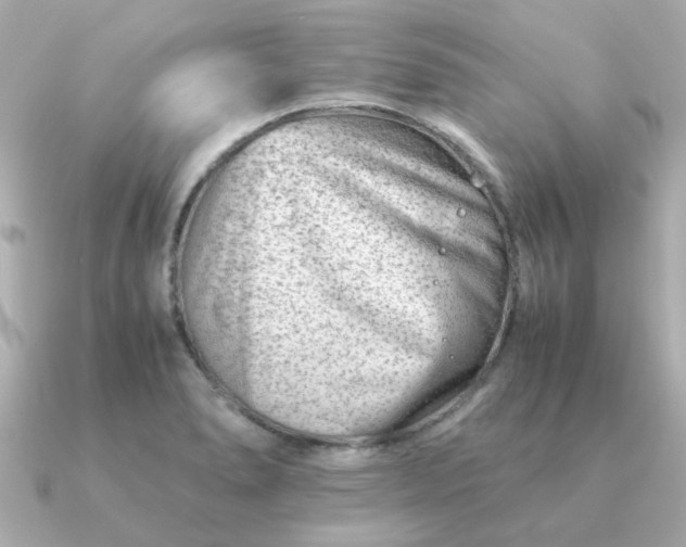 X0000090881278200708101338