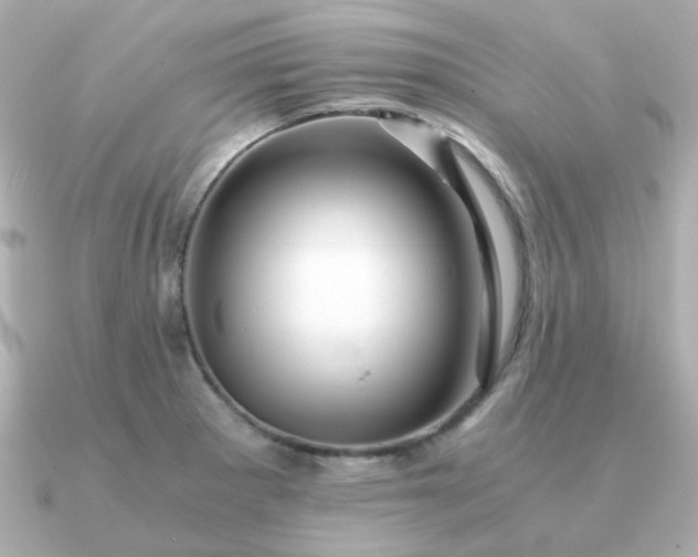 X0000090881281200708101338