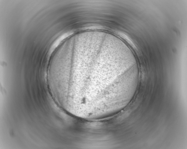 X0000090881282200708101338