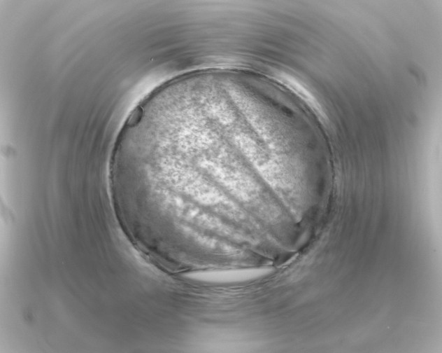 X0000090881283200708101338