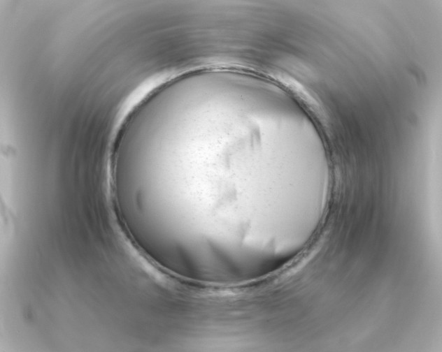 X0000090881286200708101338