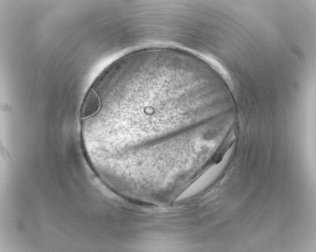 X0000090881287200708101338