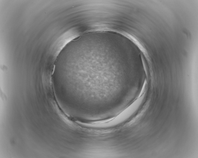 X0000090881289200708101338