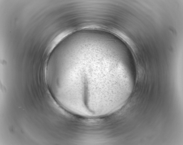 X0000090881290200708101338